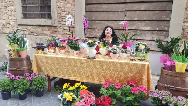 Barberino in fiore