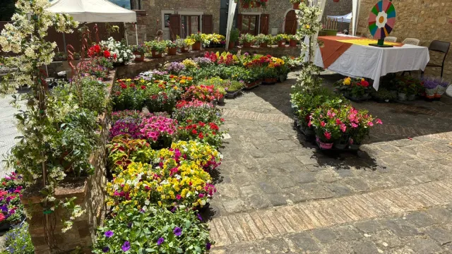 Barberino in fiore