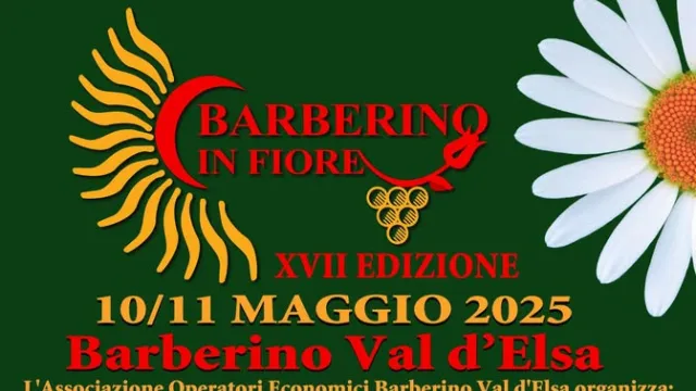 barberino in fiore_banner