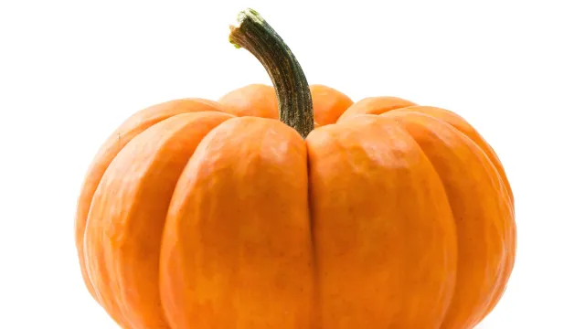 zuppa di zucca_banner