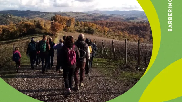 OlioSapiens_passeggiata tra gli olivi_banner