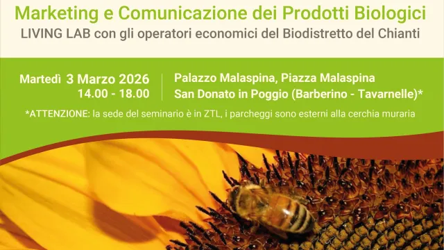 Banner Marketing & Comunicazione