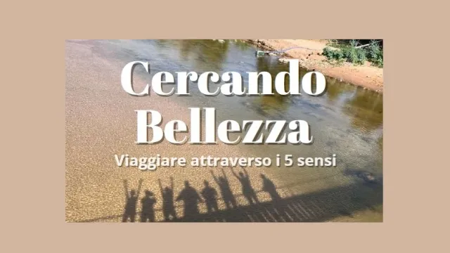 Banner Cercando Belleza