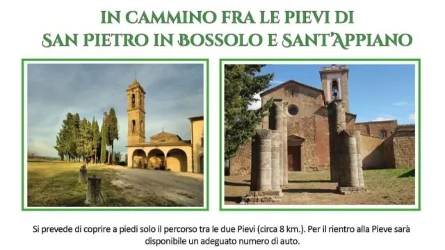 Banner di piviere in piviere
