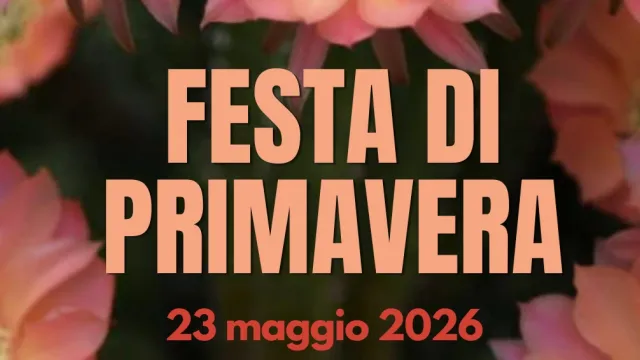 Banner festa di primavera