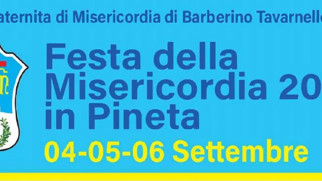 Banner festa della Misericordia
