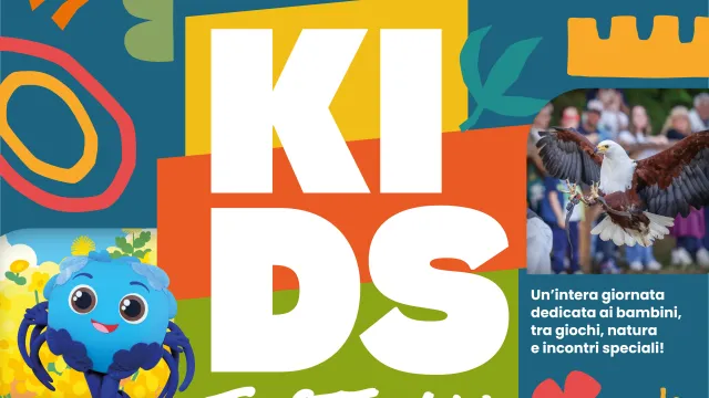 kids festival 2026