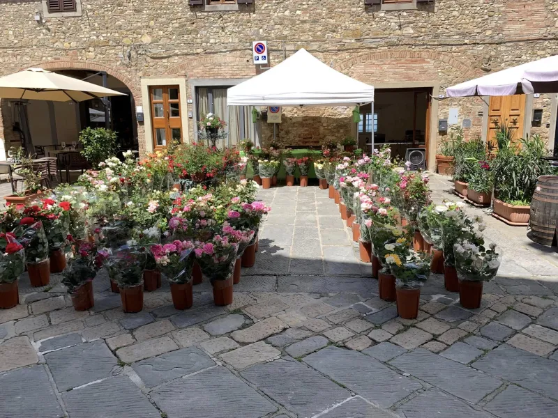 Barberino in Fiore