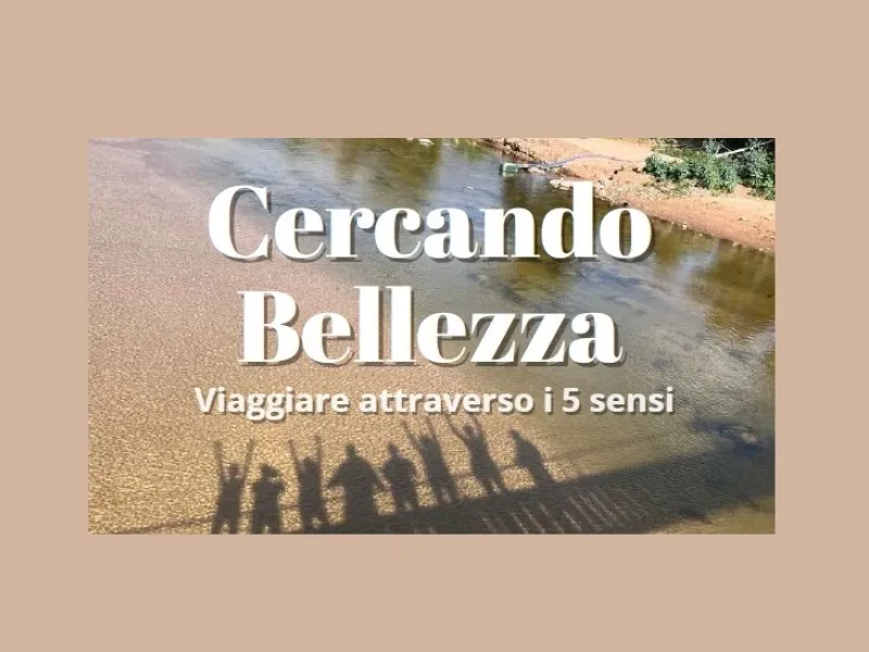 Banner Cercando Belleza