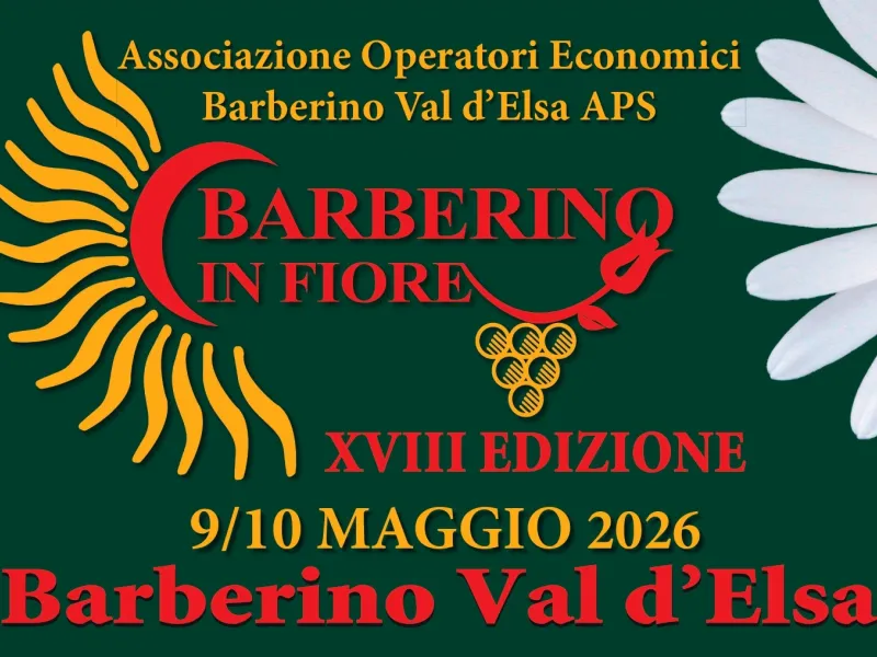 Banner Barberino in Fiore