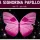 Banner la signorina Papillon