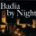Banner Badia By Night