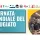 Banner Giornata mondiale del rifugiato 2026 